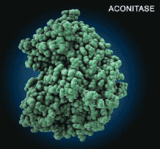 Watch Molecules in Motion