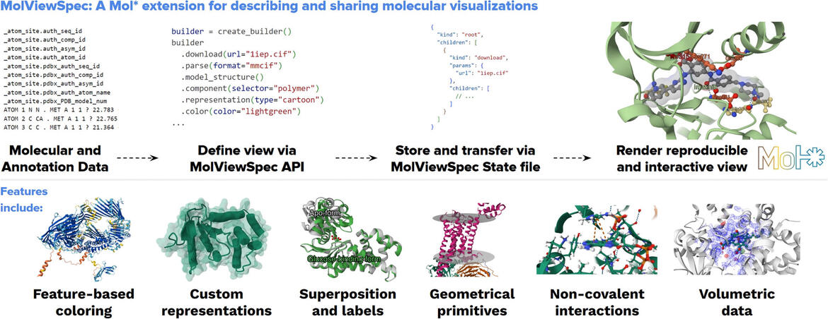 <I>Graphical abstract from</I> MolViewSpec: a Mol* extension for describing and sharing molecular visualizations