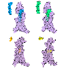 GLP-1 Receptor Agonists