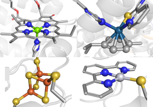 <I>Metal-protein interaction annotation and metal coordination annotation and assessment</I>